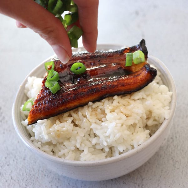 Kabayaki Unagi and Sushi Kit - American Unagi