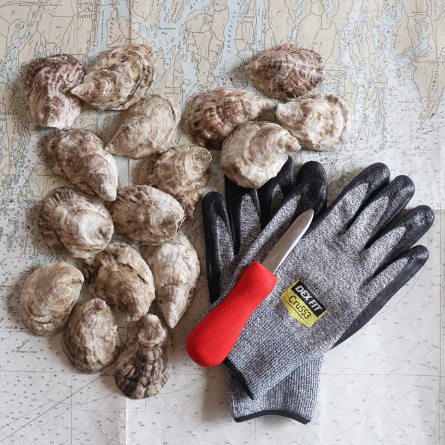 Shucking Gloves — Long Cove Sea Farm