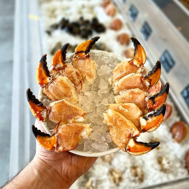Maine Jonah Crab Claws (1 Lb Cup) - Ready to Eat